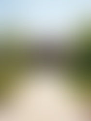 Enhancing Curb Appeal: Why It Matters for Senior Living Communities