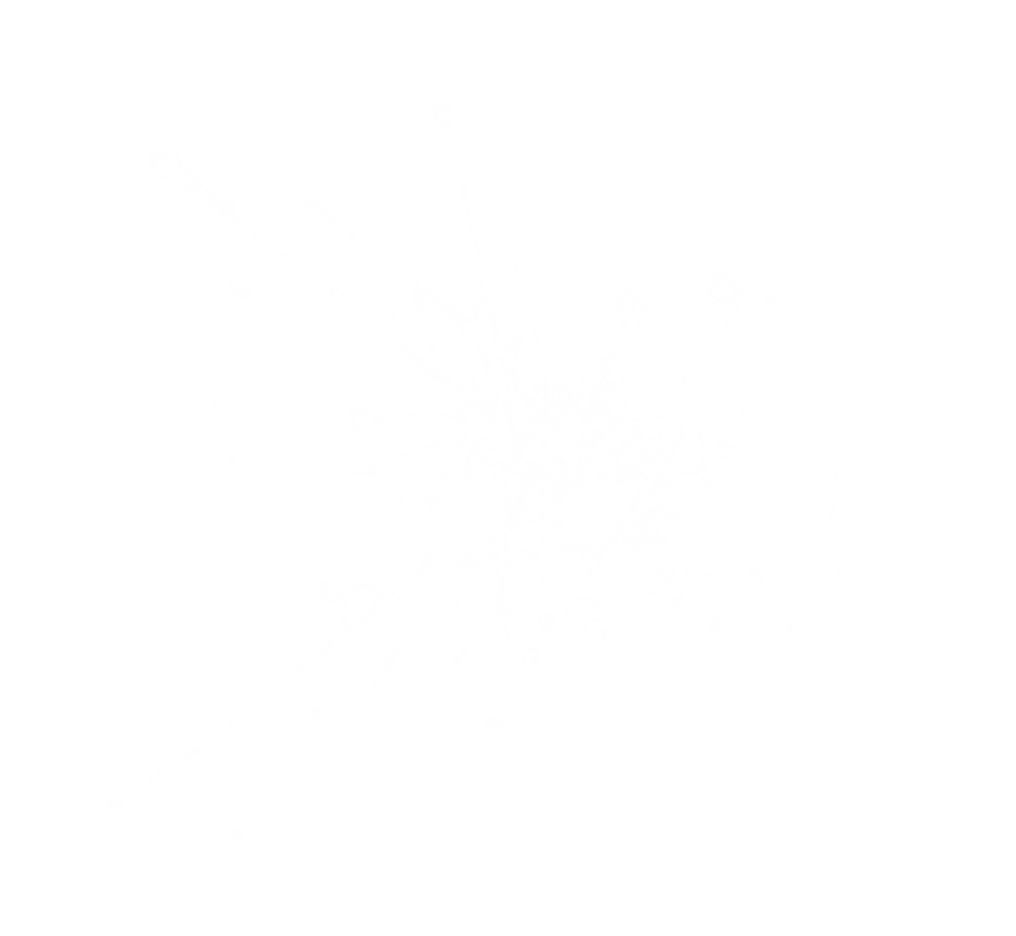 Untitled design_edited.png