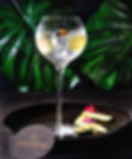 Gin & Tonic de la Casa