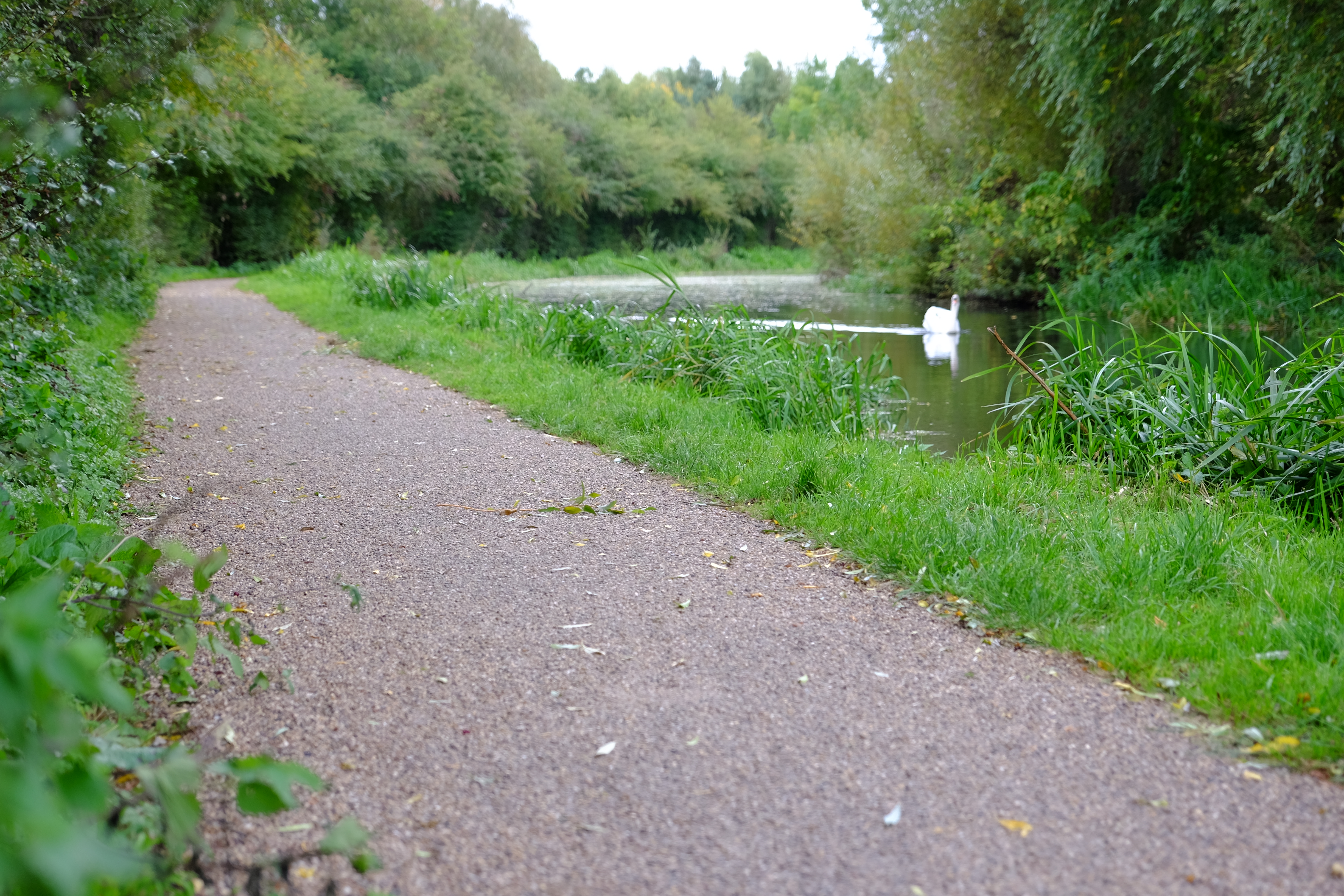 Cotgrave Canal