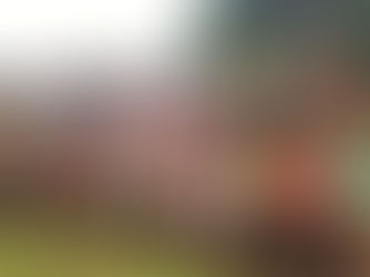 SINDICATO E MINERVA DISTRIBUEM 2500 PANETONES