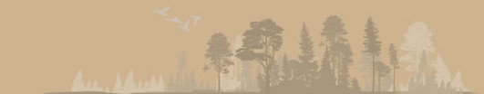 footer_trees_05.jpg