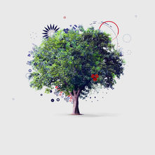 Premier-NewIcons-Tree_001.jpeg