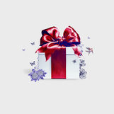 Premier-Motion-Gift_002.jpeg