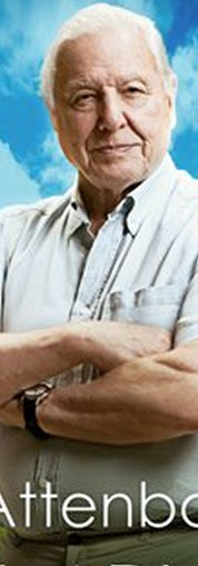 David Attenborough, arms crossed, nature backdrop. Text: David Attenborough's