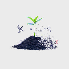 Premier-Motion-Plant_Ambient_002.jpeg