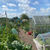 Allotment Jobs for August: Harvest, Sow, and Prepare for Autumn