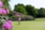 Man playing golf in at Dorset Golf Resort