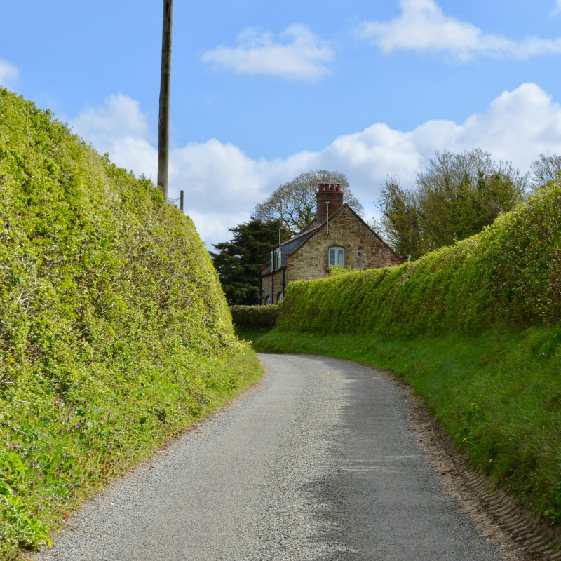 How Local Producers Can Simplify Rural Deliveries