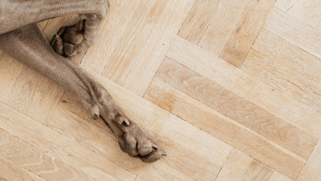 Light vs Dark Flooring: How It Changes the Look of Your Home