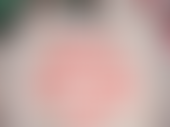 Dorset Christmas Gift Guide 2025