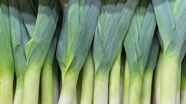 The Last Crop Standing: Life, Leeks, and Winter Comfort