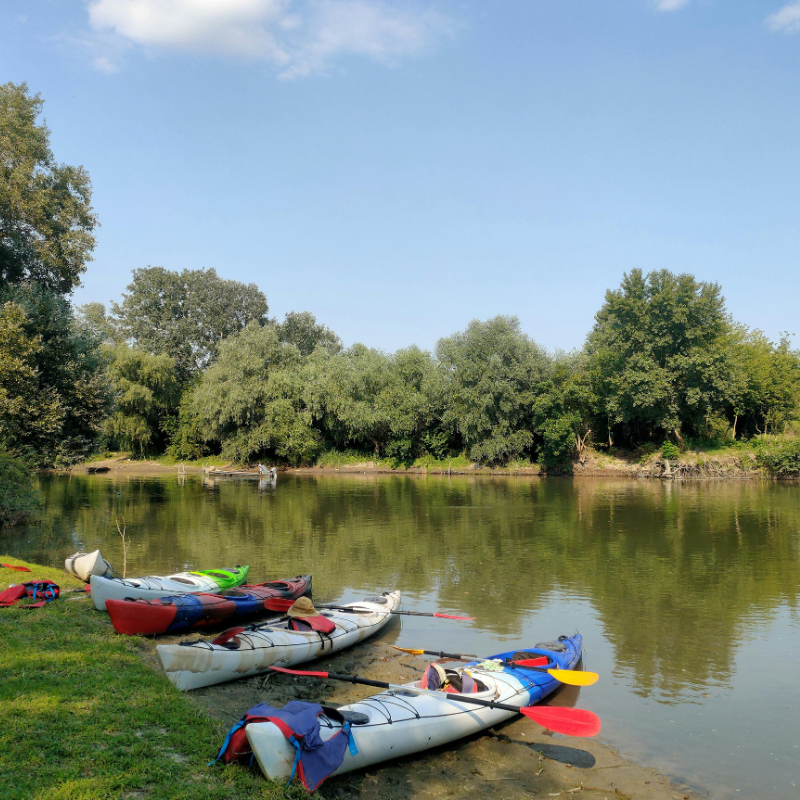 The Wellness Benefits of Outdoor Recreation in Dorset
