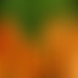 Carrots - wonder vegetable of the future