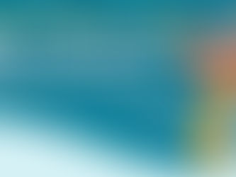 Festival is Cancelled