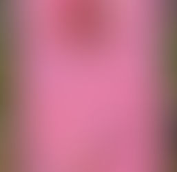 Pretty Potty will be Pondside