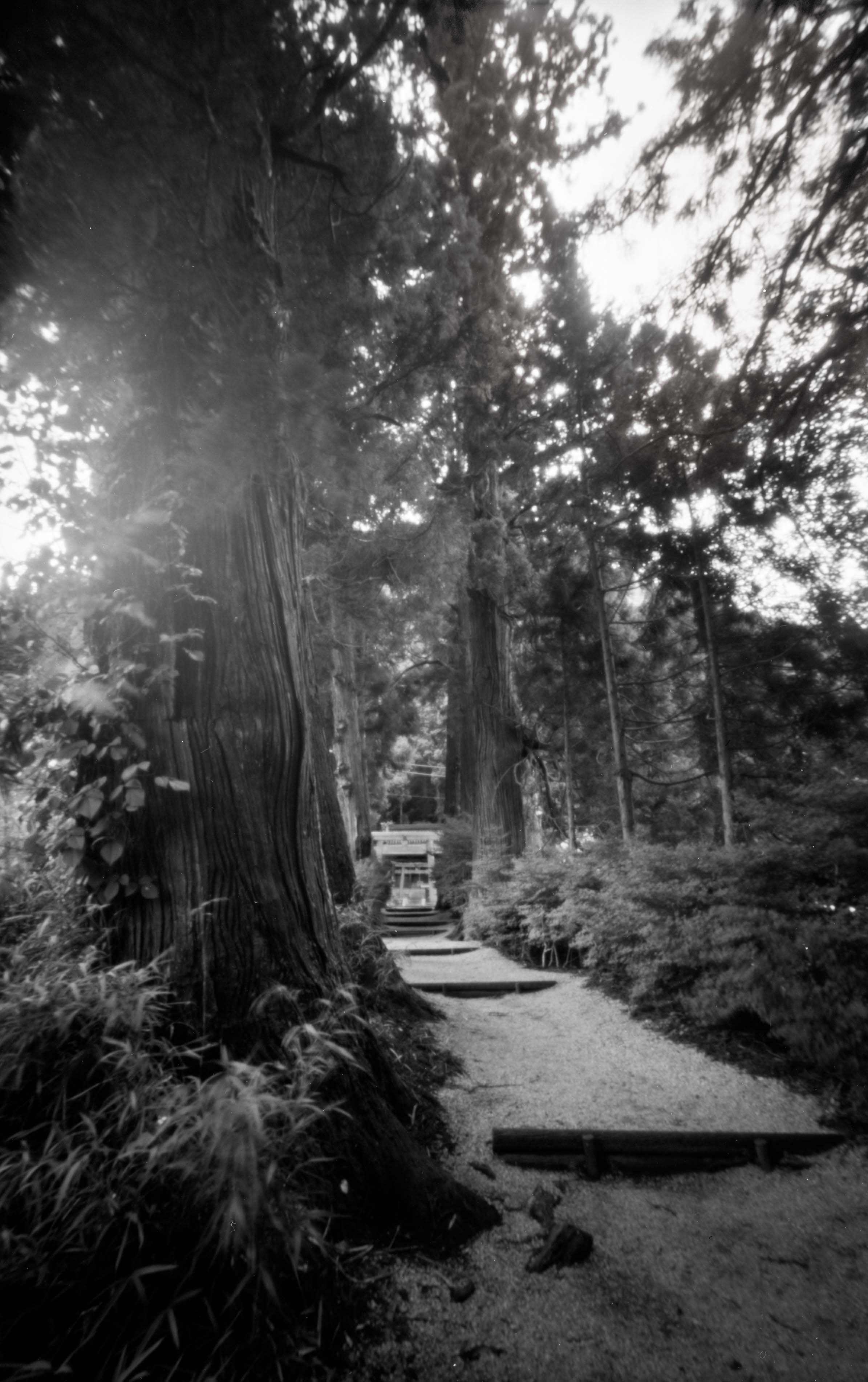 高天彦神社