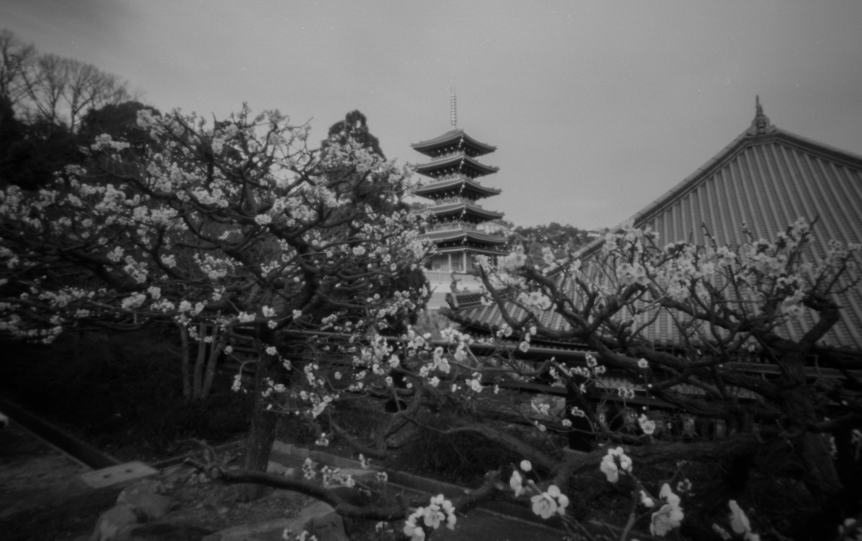 宝塚 中山寺