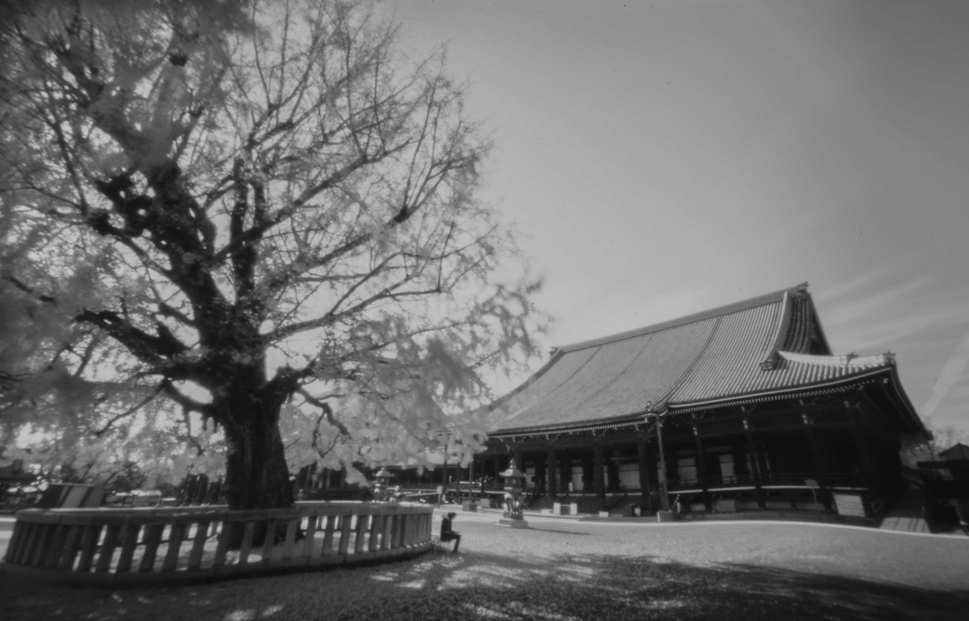 西本願寺 
