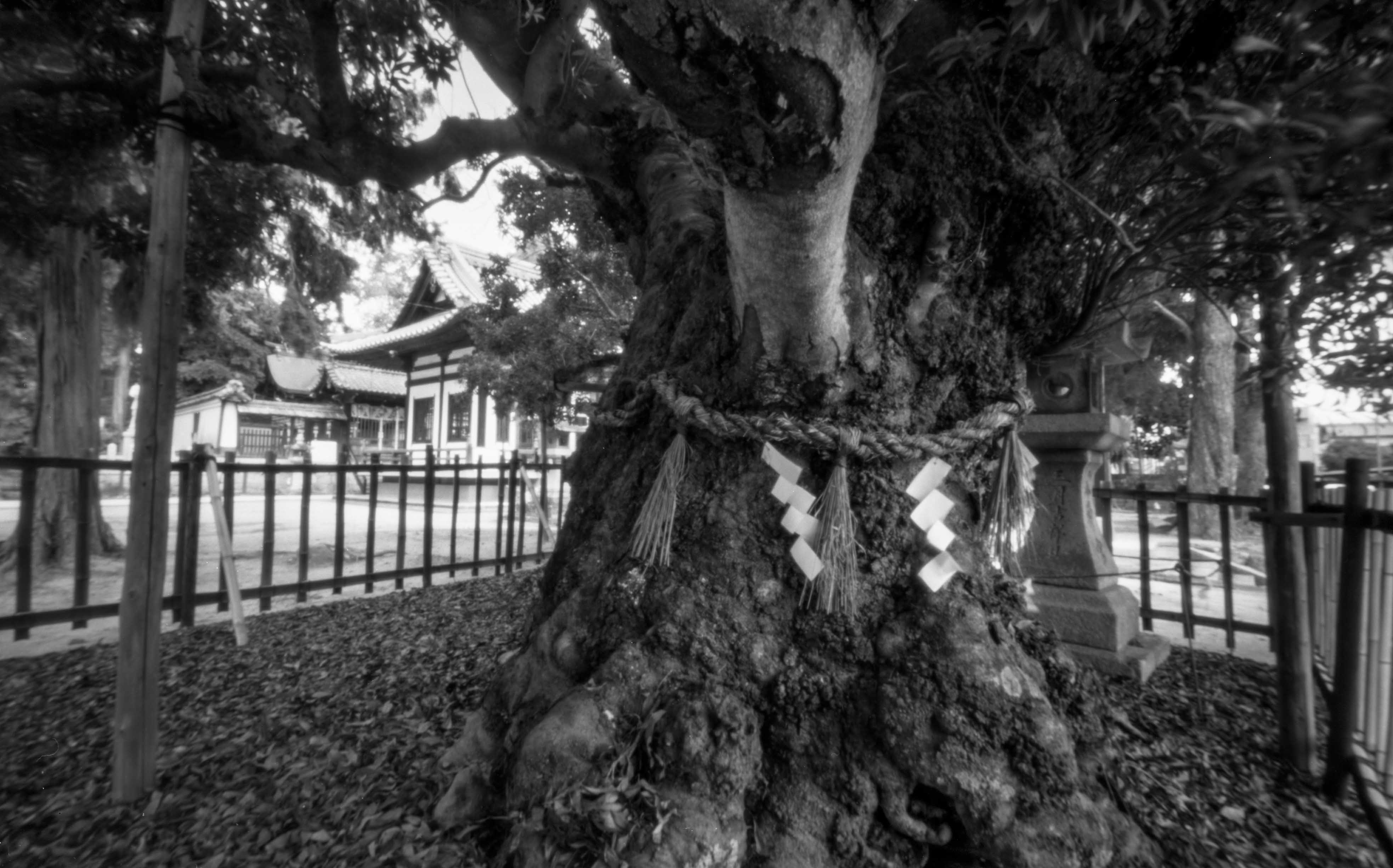 神服神社