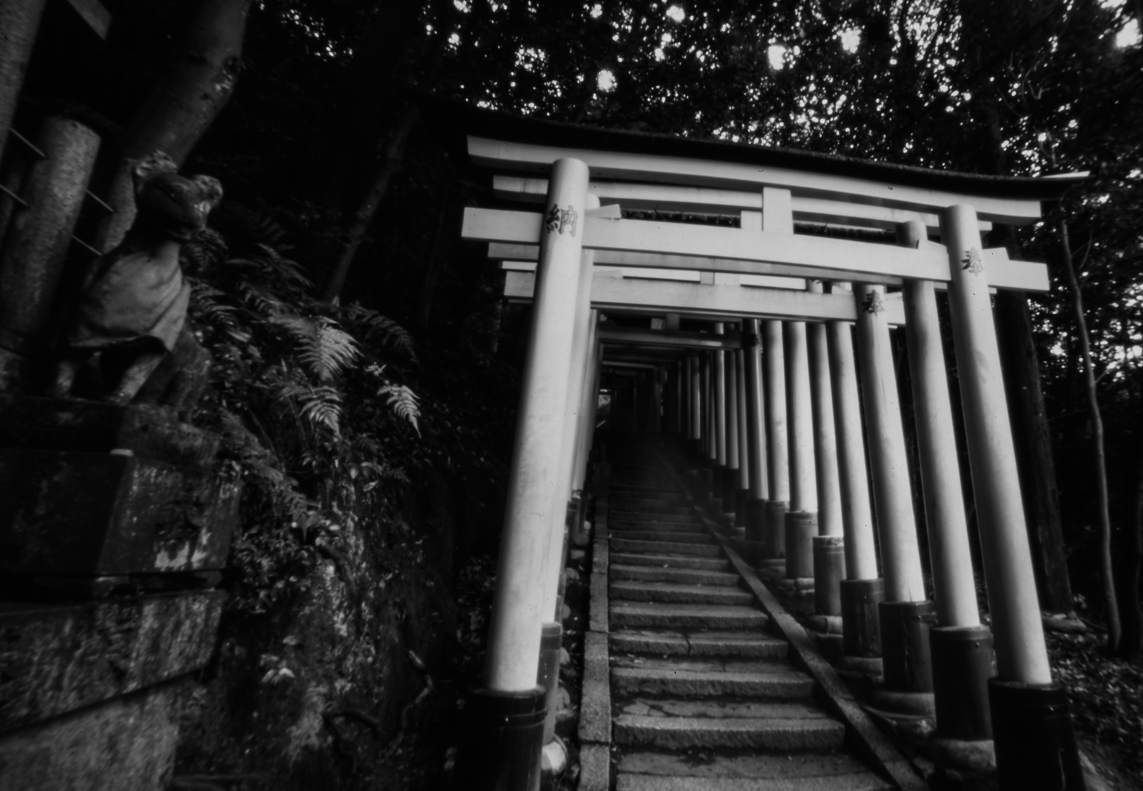 伏見稲荷神社。