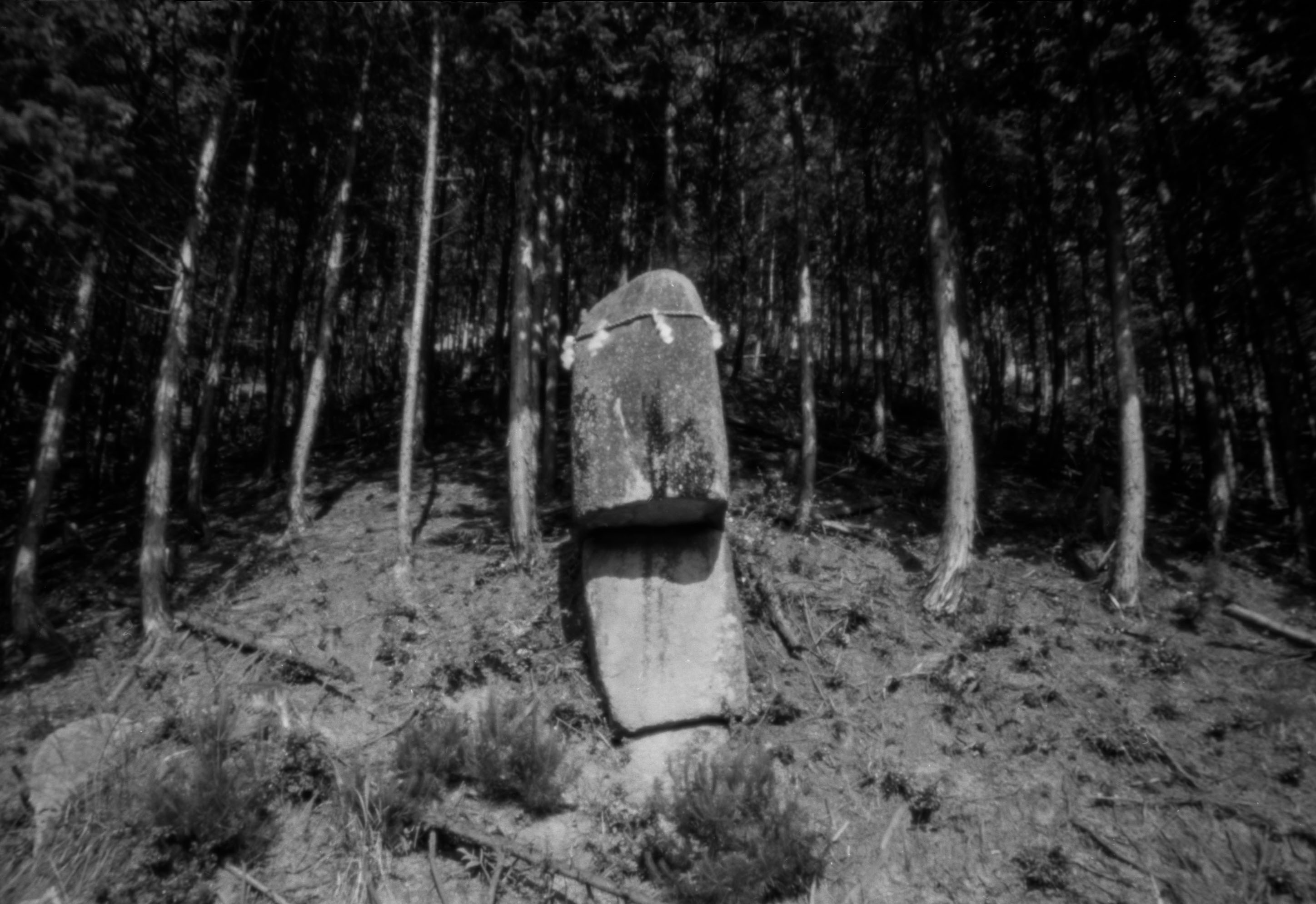 出石 奥矢根鉱山付近