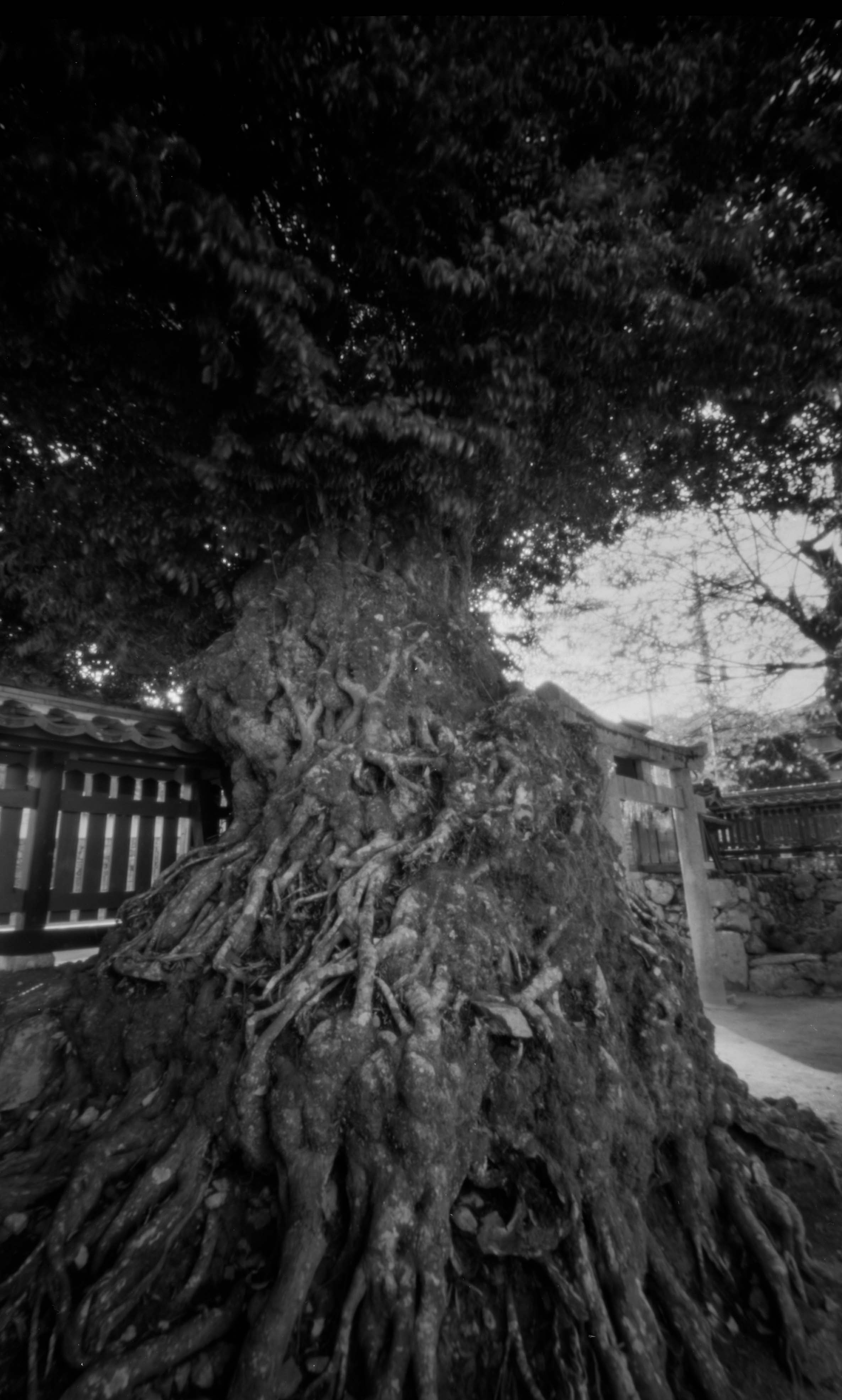 坂上の大将軍神社