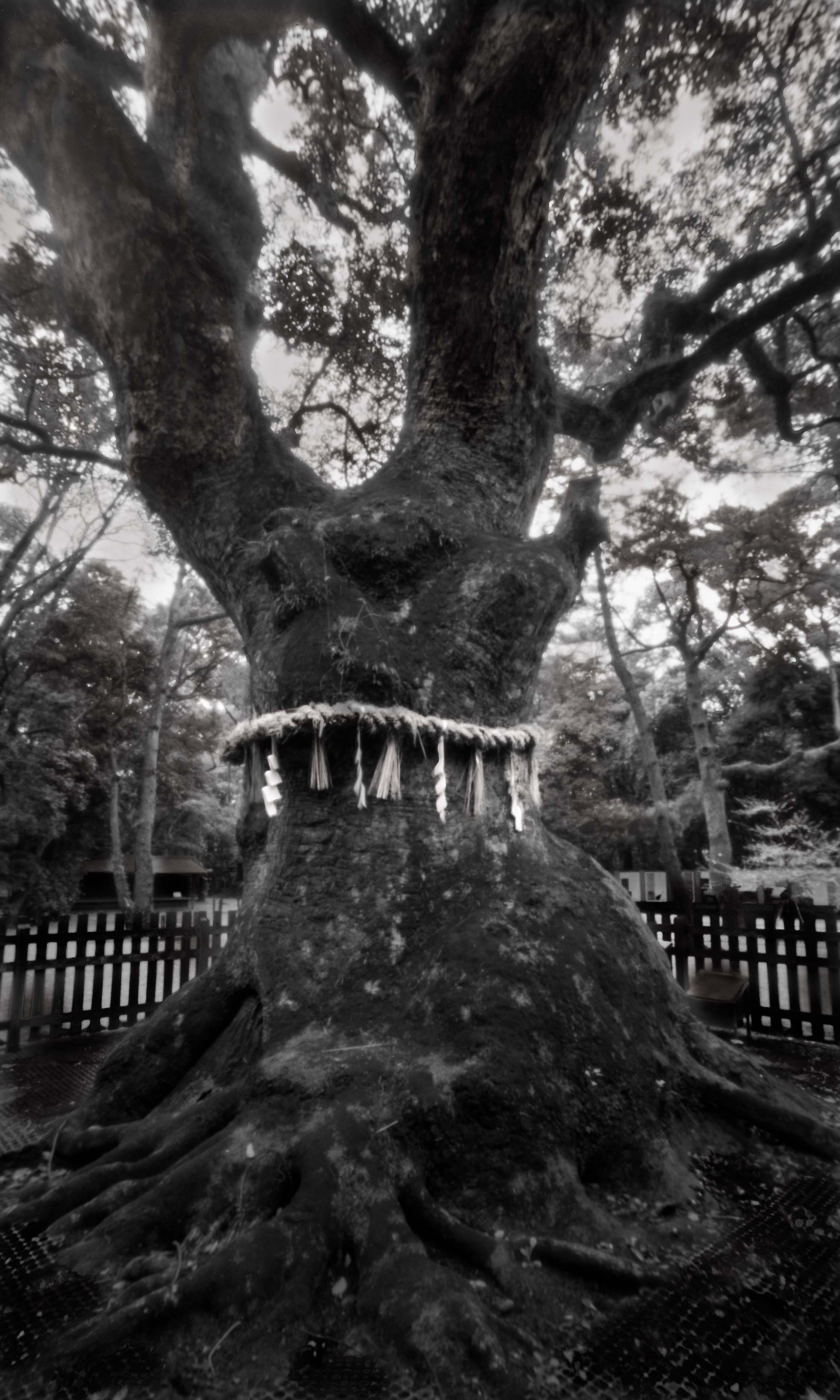 熱田神宮