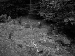 三ノ宮・下谷戸遺跡(伊勢原市)