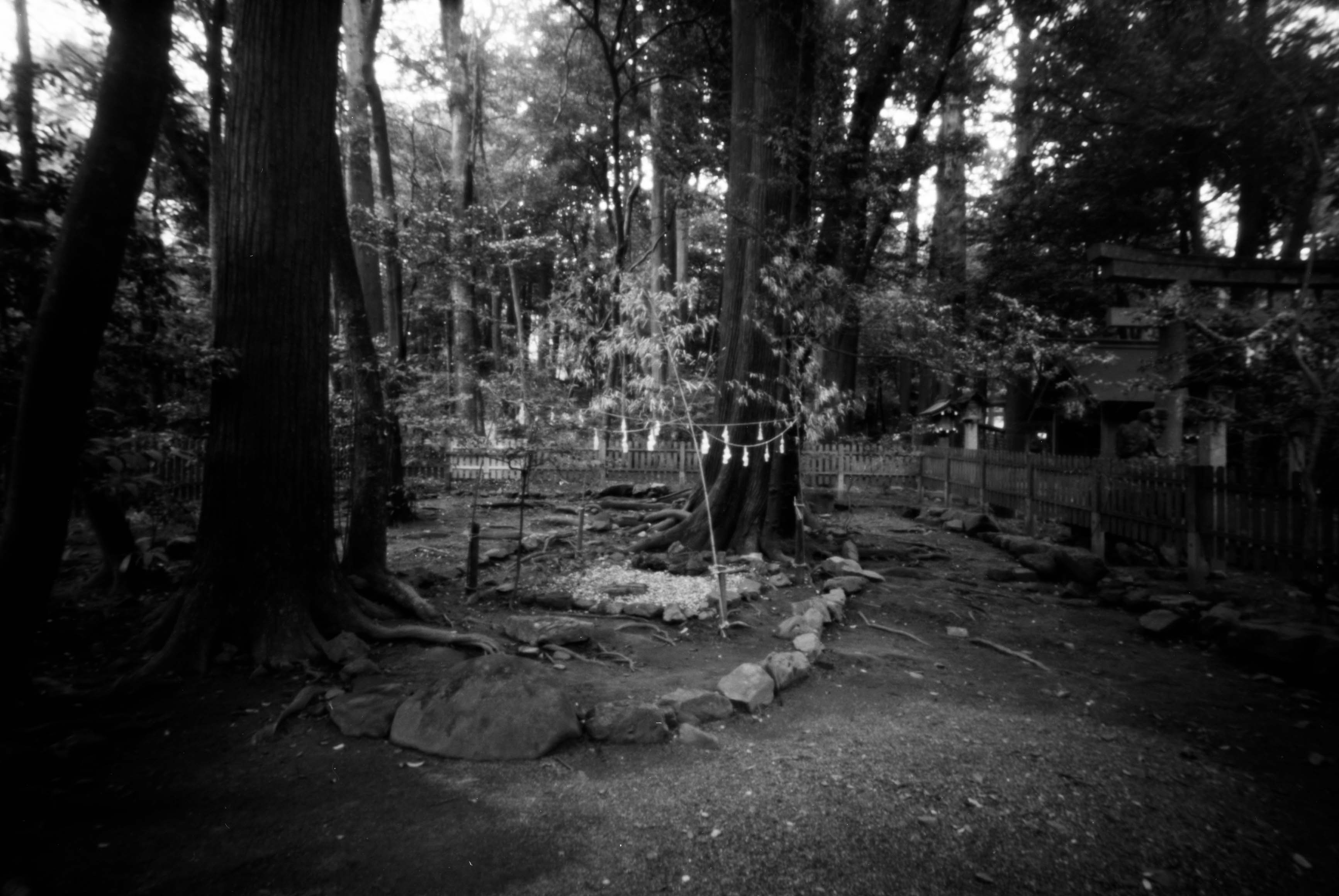 椿大神社
