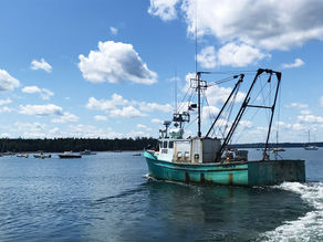 Le Canada. Entre amis.