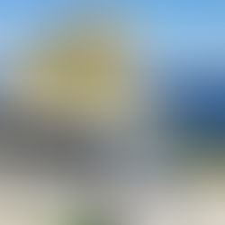 Best Mamma Mia Bus Tours available in Skopelos