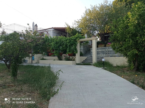 pefkoscottageskopelosditropo03.jpg