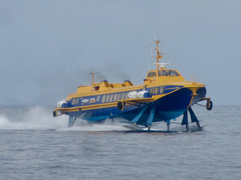 aegeanflyingdolphinseratoskopelos - 1.jpg