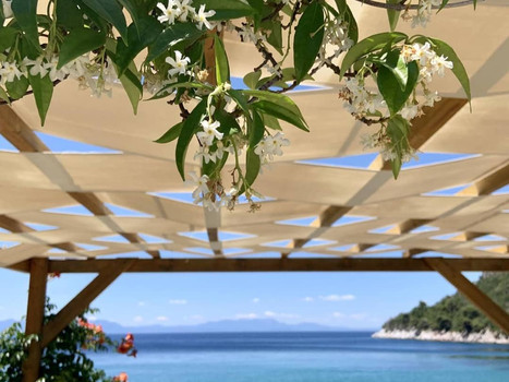 apanemobeachbarrestaurant22.jpeg