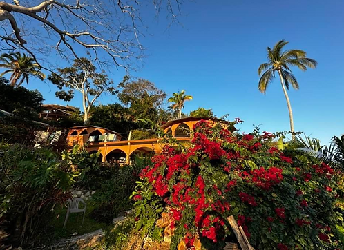 Untitled (11 x 8 in) (2).png