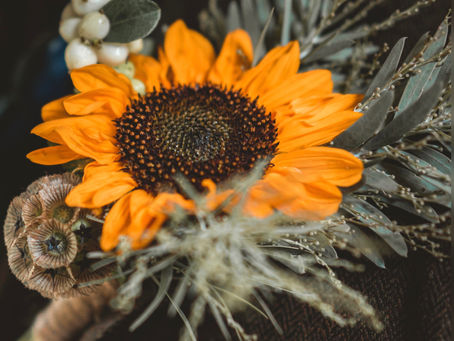 Flowers We Loved in September