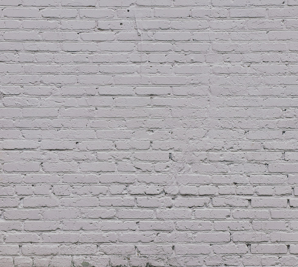 Whitewashed Brick_edited.jpg