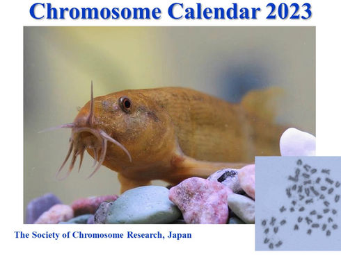 2023-Cover.jpg