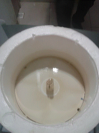 antes1
