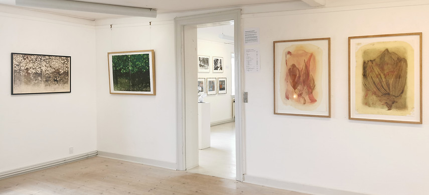 HUSET i Asnæs art exhibition