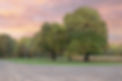 sunsetoaks-full.jpg