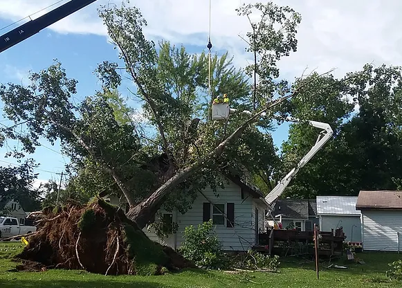 stormcleanup.webp