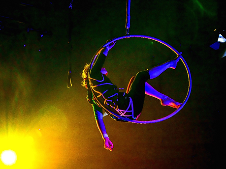 Mother Goose Fruit Fly image for MRFM website.jpeg