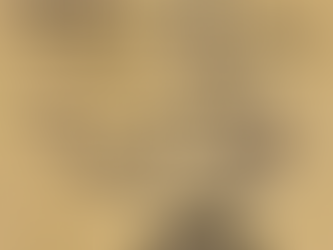 Genova: la poesia quantica di Roberto Malini al tempio buddhista Sambudu Vihara