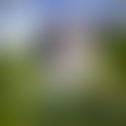 Premio Internazionale di Poesia “La Bellezza Rimane”, è in corso la selezione dei finalisti