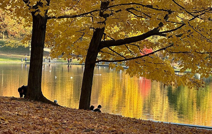 WhatsApp Image 2025-12-23 at 15.25.35 (1).jpeg