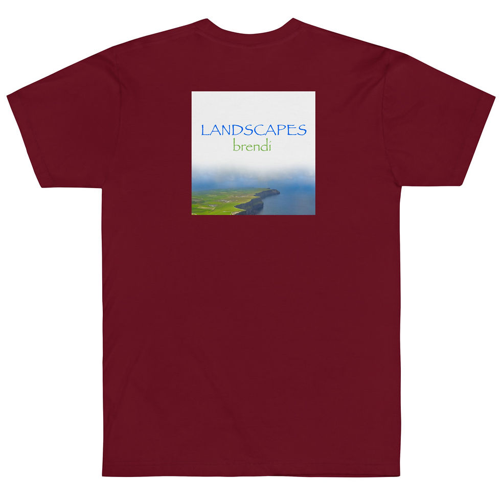 Thumbnail: 'Landscapes' & Piano Spiral American Apparel T-Shirt