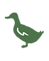 Duck.png
