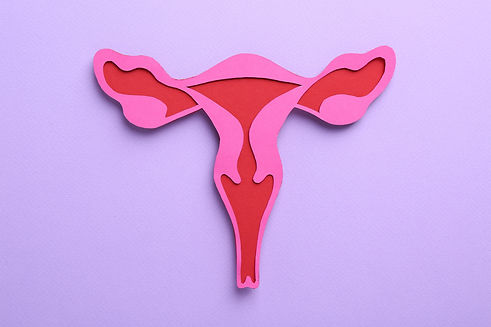 Reproductive medicine. Paper uterus on violet background, top view.jpg